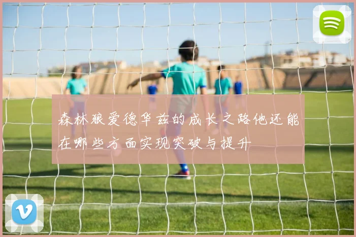 森林狼爱德华兹的成长之路他还能在哪些方面实现突破与提升