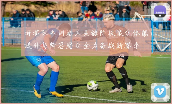 海港队冬训进入关键阶段聚焦体能提升与阵容磨合全力备战新赛季