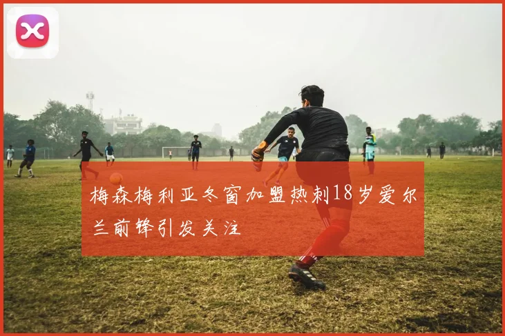 梅森梅利亚冬窗加盟热刺18岁爱尔兰前锋引发关注